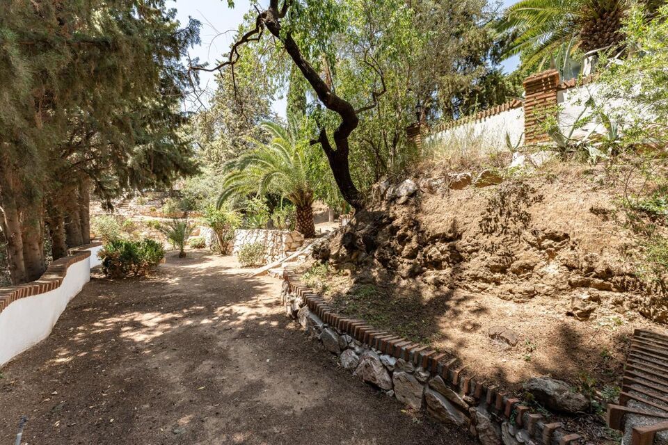 Cortijo Alegría – Photo 22